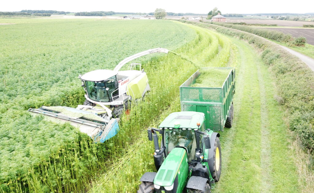 Industrial Hemp Growers UK